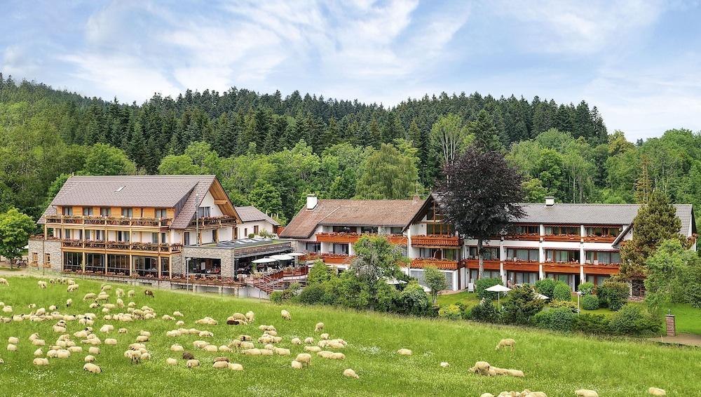 Hotel Gruener Wald Фройденштадт Екстер'єр фото