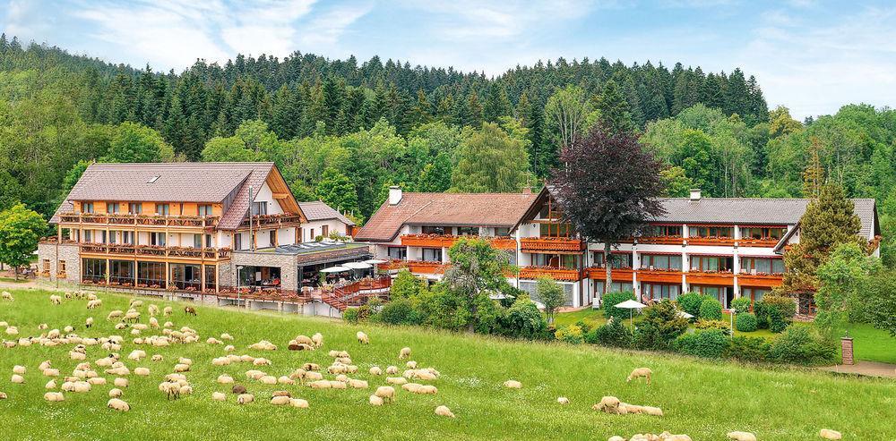 Hotel Gruener Wald Фройденштадт Екстер'єр фото